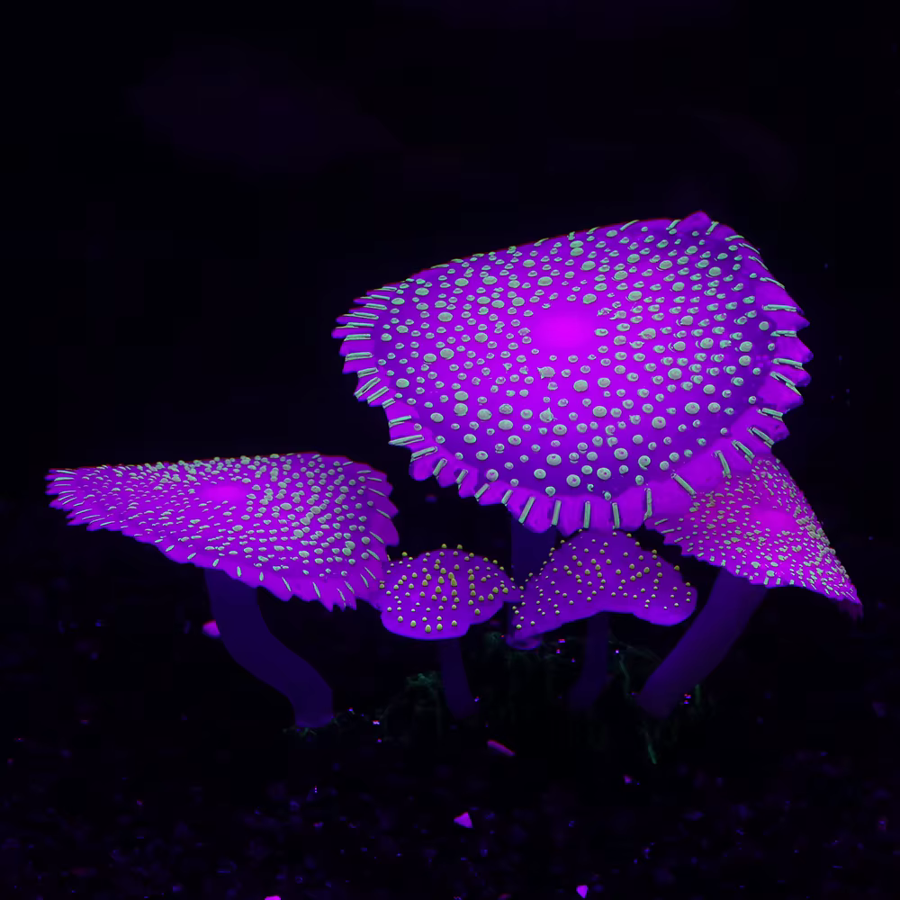 Décoration de corail fluorescent en silicone pour aquarium avec plantes lumineuses pour l'aménagement paysager sous-marin