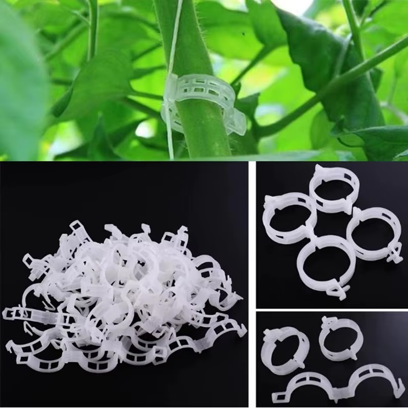 Clips de Support de plante en plastique réutilisables