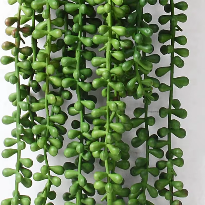 Plantes artificielles en plastique