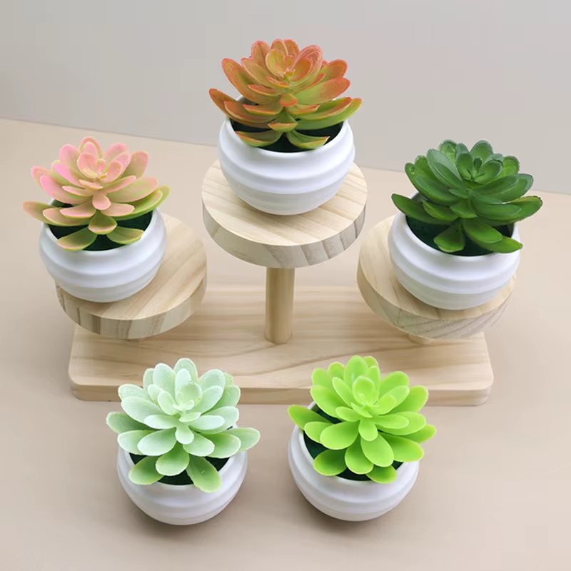Bassin blanc en plastique de plante verte succulente artificielle