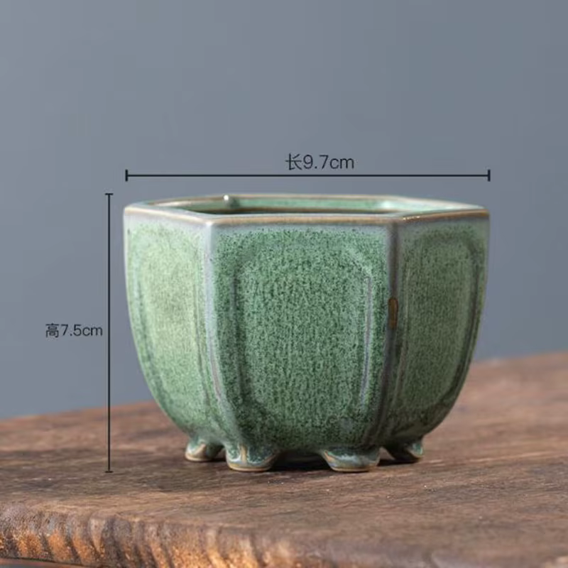 Pot de plantes succulentes émaillées en poterie grossière