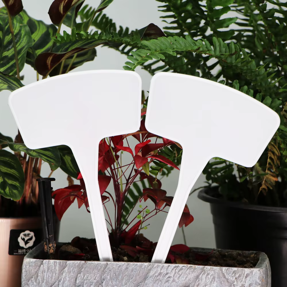 Étiquettes de plantes blanches de type T