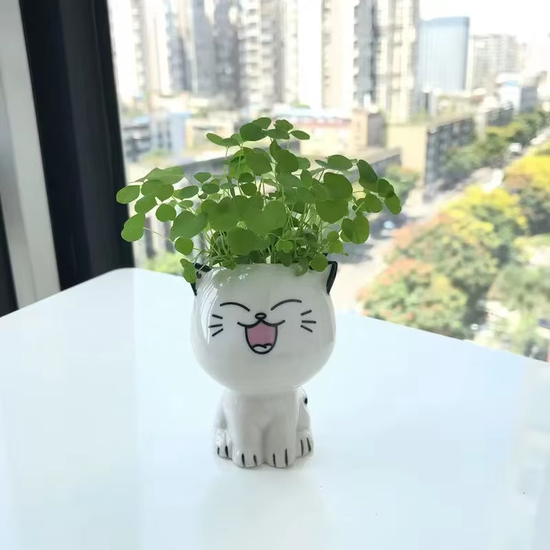 Pot de fleurs en céramique