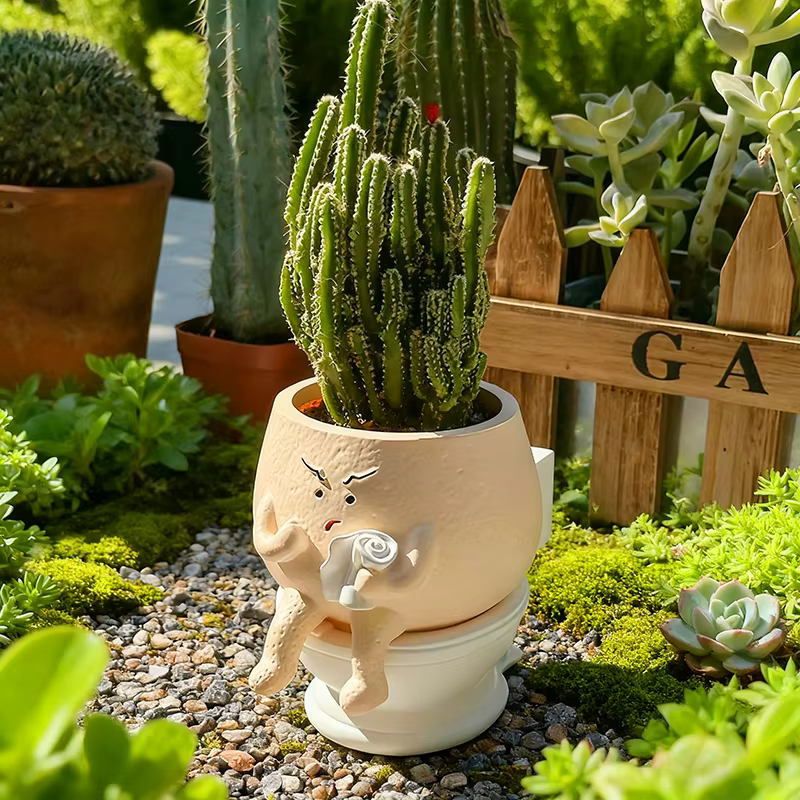 Pot de fleurs amusant en forme de toilette pour plantes succulentes