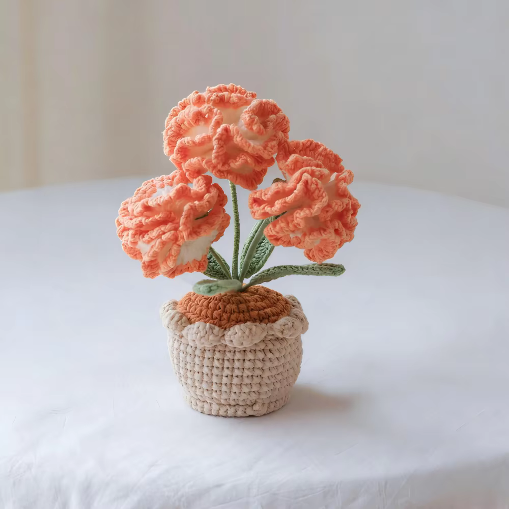 Plante en pot de carnations en laine crochetée à la main