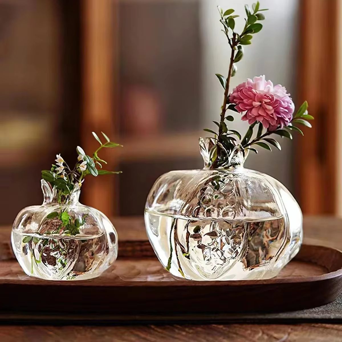 Vase à grenade, plante hydroponique