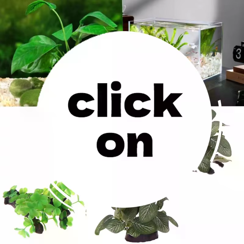 Plante artificielle en bois flotté pour décoration d'aquarium