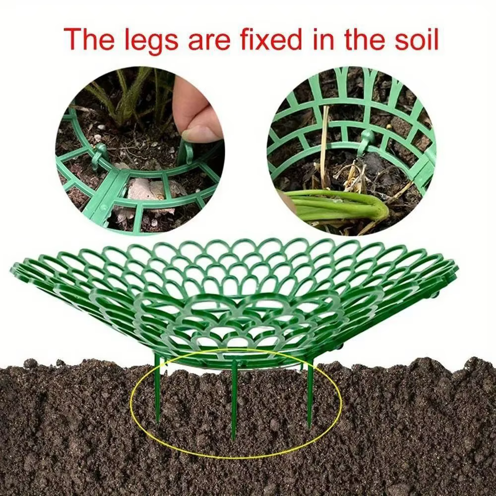 Supports de plantes de fraises à 3 pieds robustes