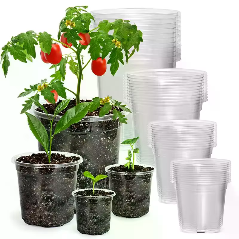 Pot de fleurs en plastique transparent avec trou de drainage