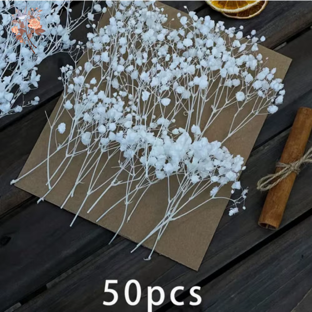 Mini-bouquet de 50 petites fleurs séchées de gypsophile blanches en vrac pour décoration rustique de maison
