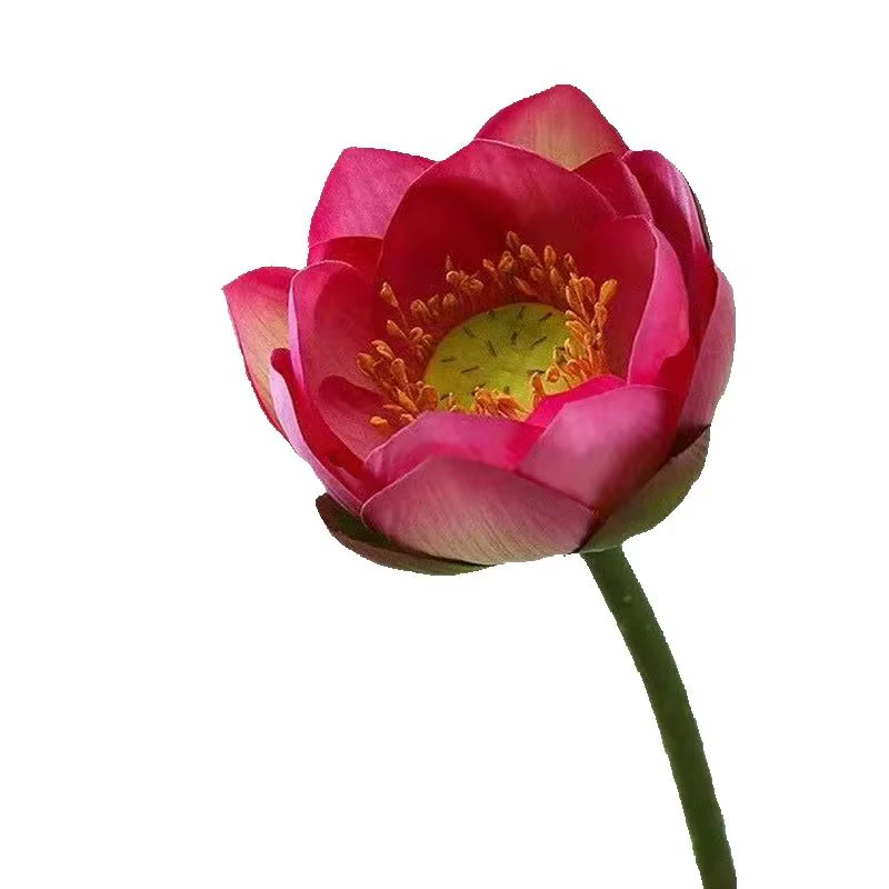 Fleur Artificielle Annie, Branche Faux Ans, Nénuphar, Plante Verte, 10Pcs