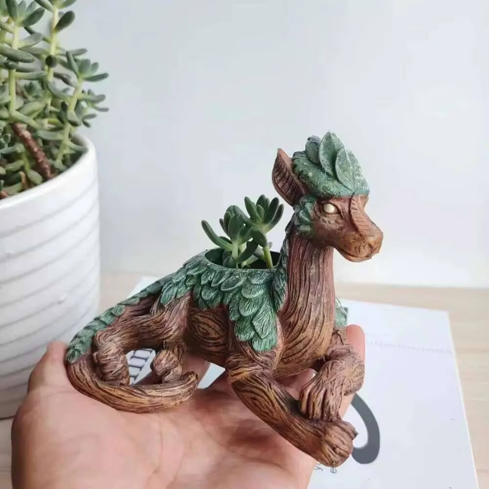 Jardinière succulente d'arbre de Dragon créatif