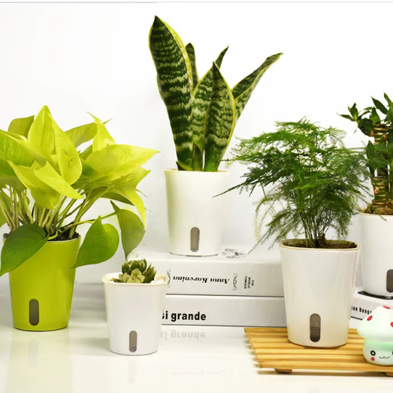 Mini Pot de Plantes de Fleurs à Arrosage existent