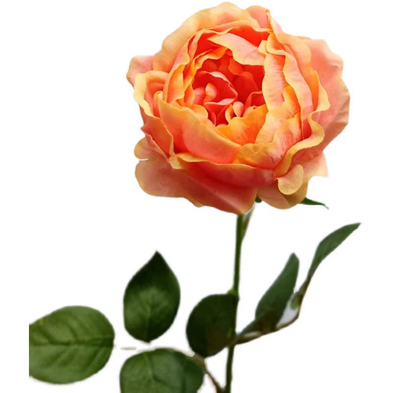Fleurs de pivoines artificielles nouvelle collection hydratant toucher réel décoration de maison salon fête de mariage