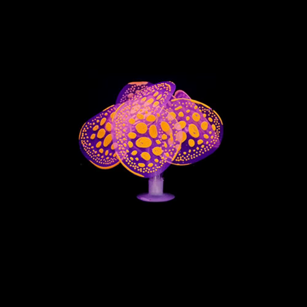Plantes lumineuses en Silicone