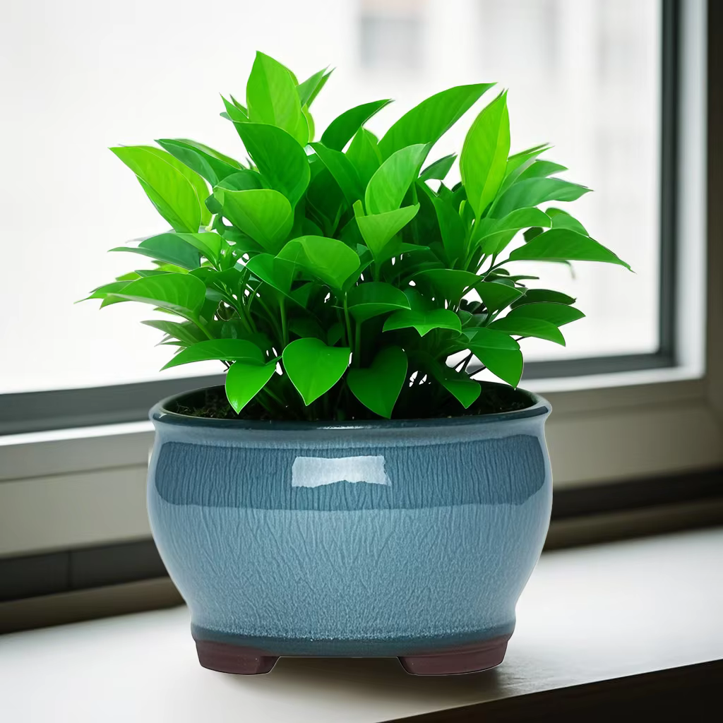 Pots de jardinières de jardin en céramique