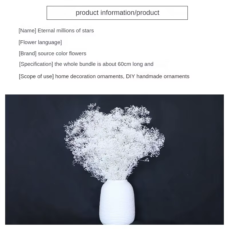 Pouvez-vous psophila Naturelle pour Décoration de ixIntérieure