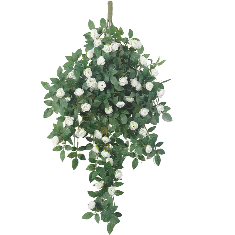 Plantes feuilles de Lierre vertes