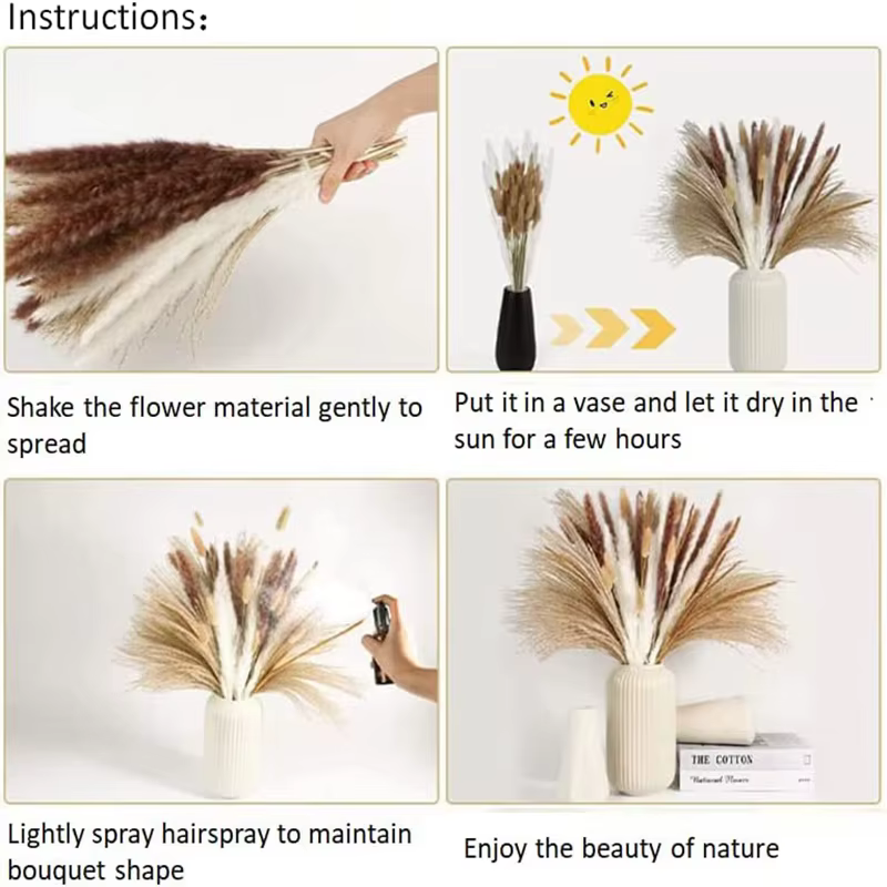 Fleurs séchées queue de lapin herbe Premium Pampas Reed immortel séché Bouquet matériel décoration de fête de mariage plantes