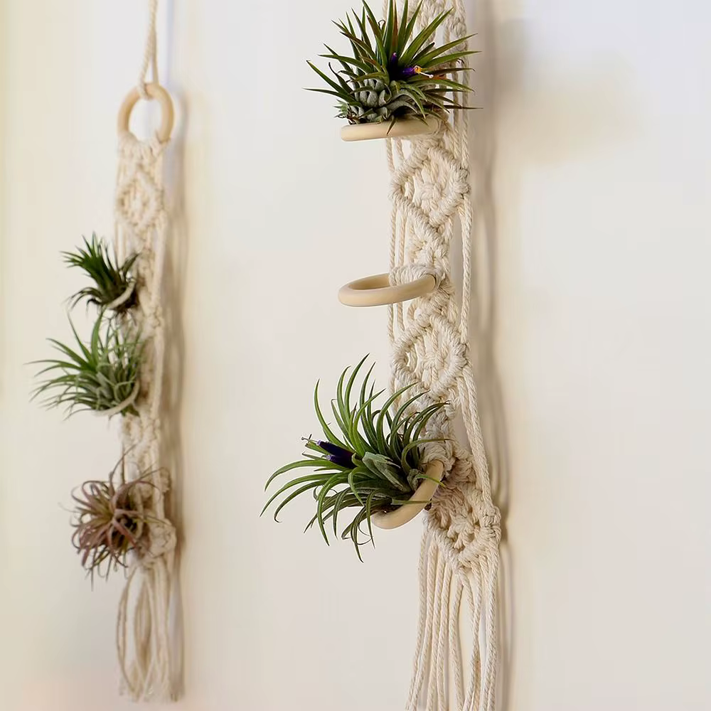 Porte-plantes en macramé pour salon intérieur