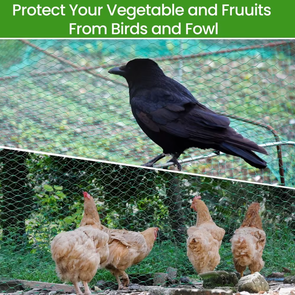 Filet de jardin protège les plantes avec des filets de protection