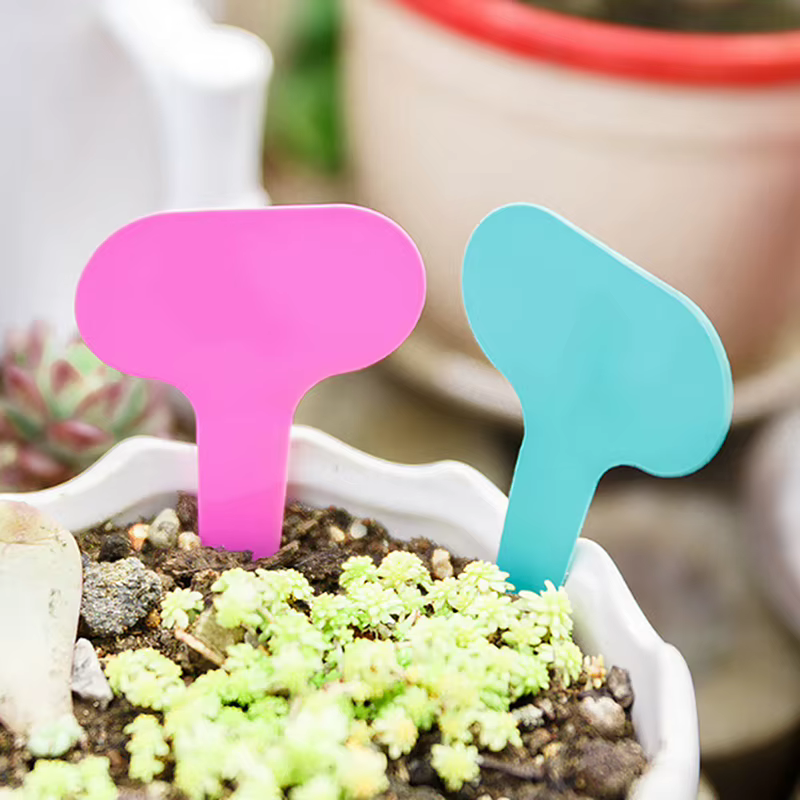 Plaque d'écriture en plastique pour plantes de jardin