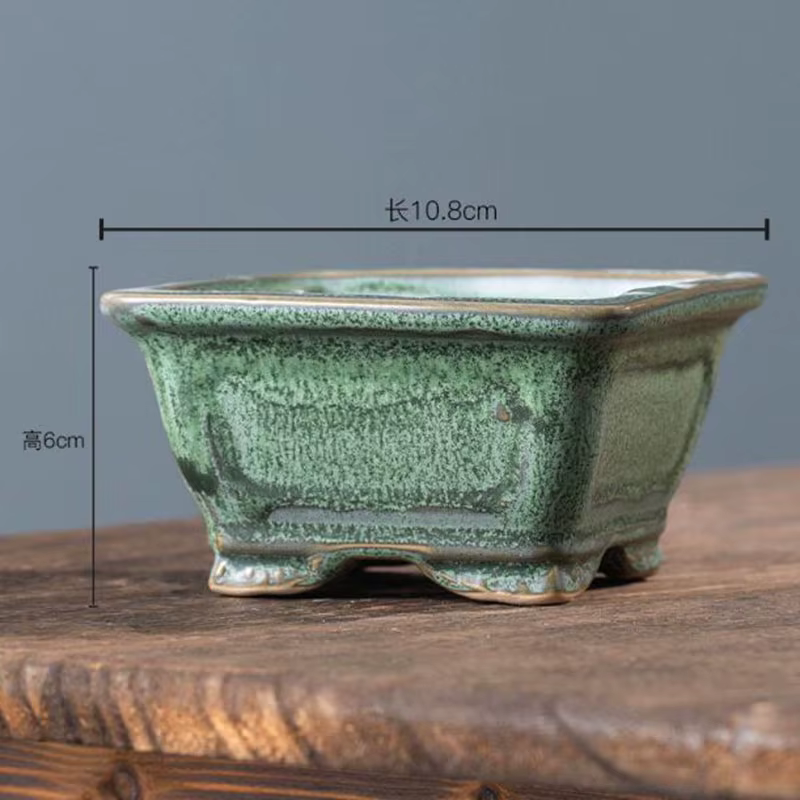 Pot de plantes succulentes émaillées en poterie grossière