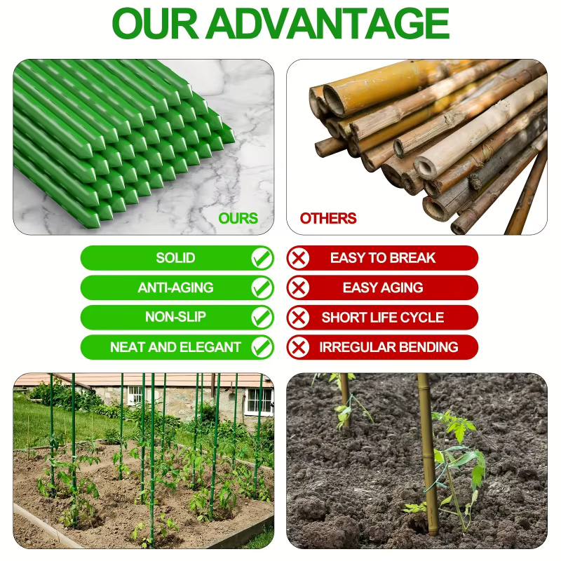 Treillis de jardinage à 20 racines pour concombres et tomates