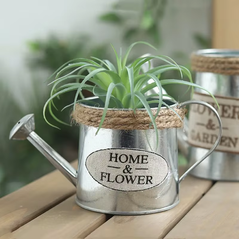 Petit arrosoir en fer, Pots seau en fer rétro pour fleurs