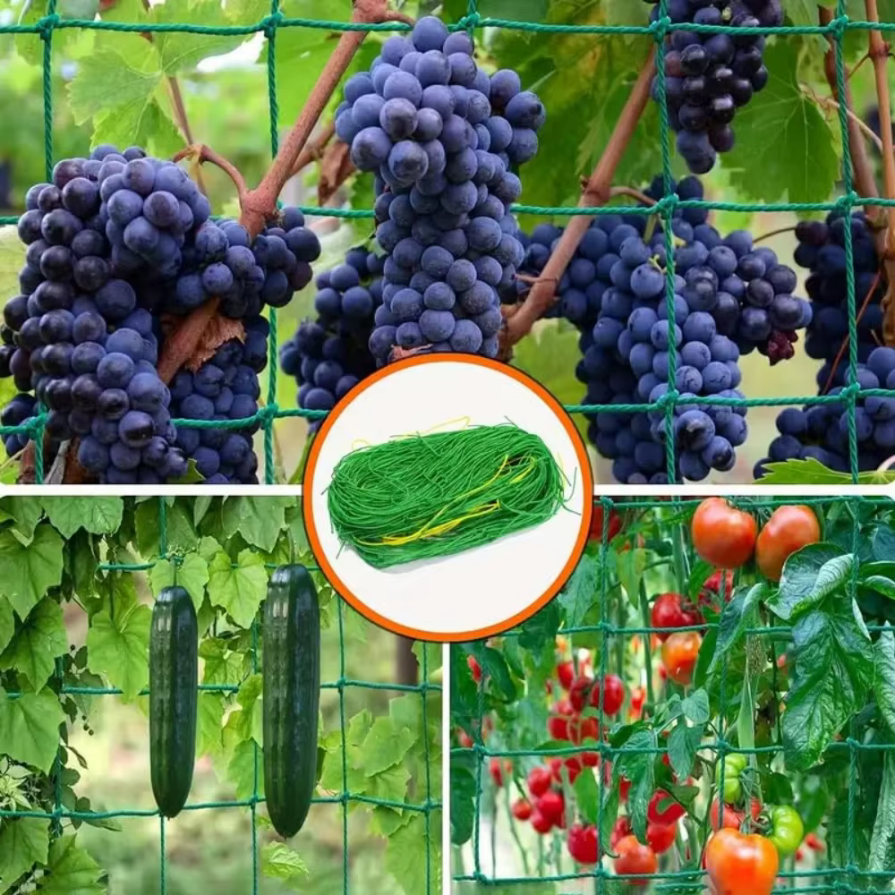 Filet de treillis en nylon pour plantes grimpantes de jardin
