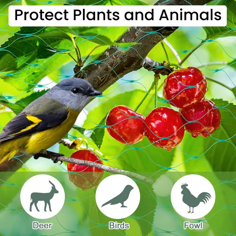 Filet de jardin protège les plantes avec des filets de protection