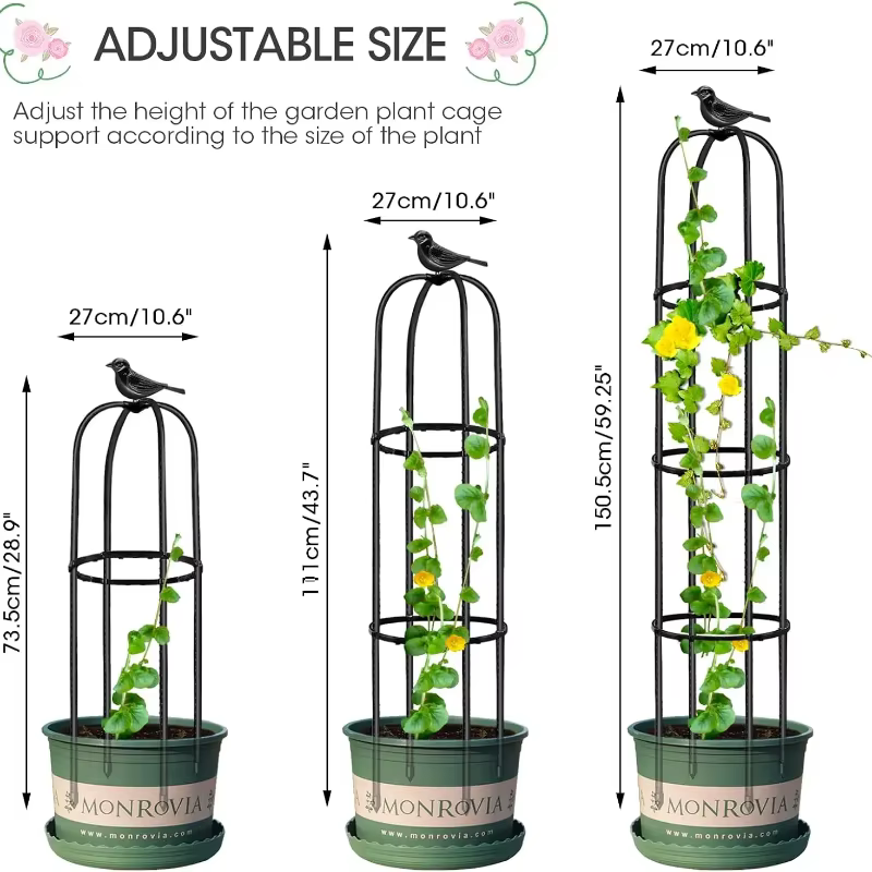 Supports de plantes en forme d'obélisque pour jardin