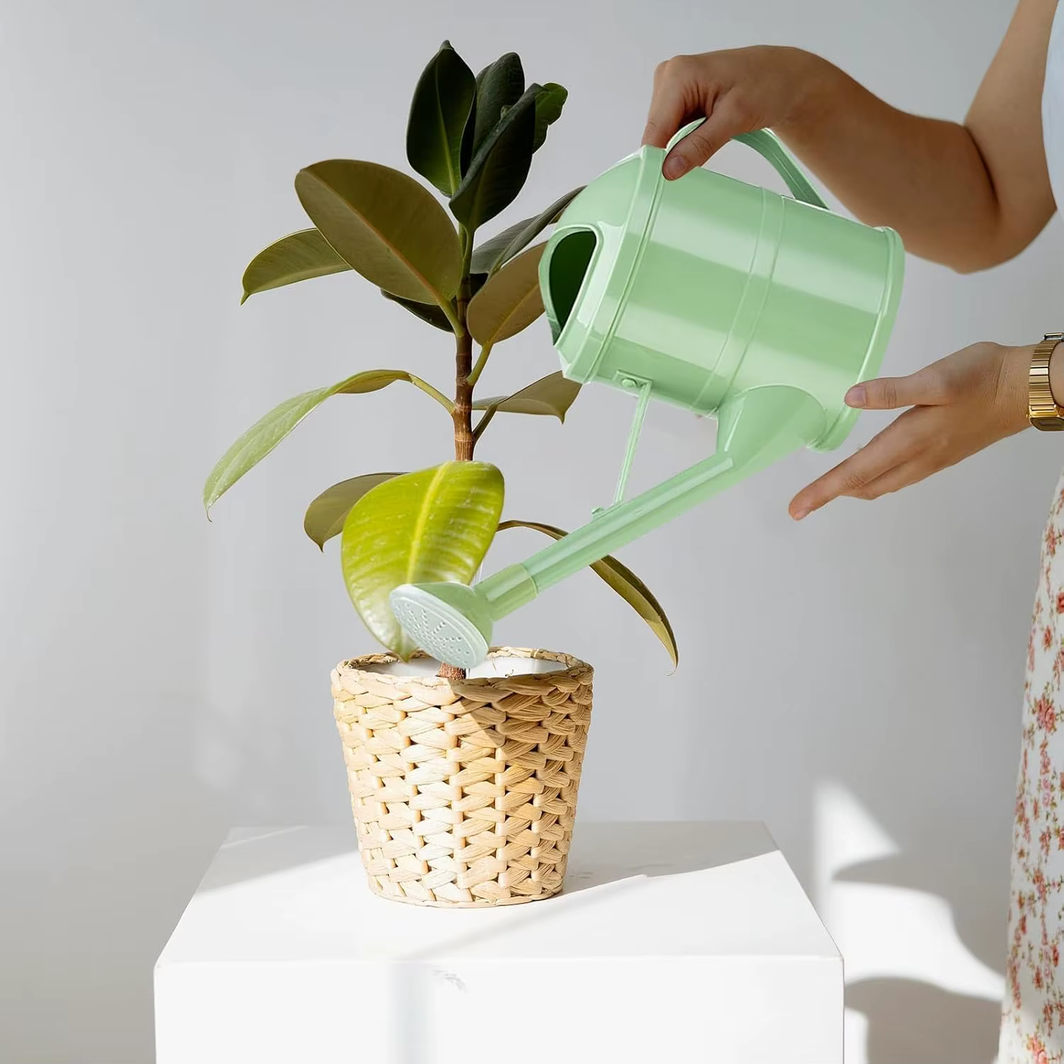 Arrosoir pour plantes de 1