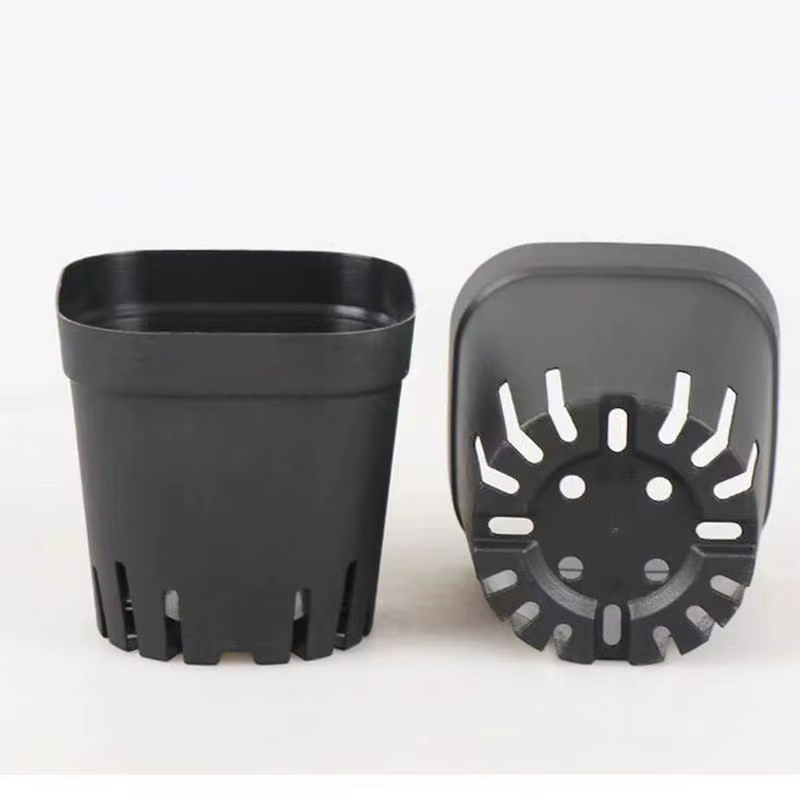 Pots de semis 50 pièces carrés plante semis-gobelet de plantation en plastique pépinière profonde arbre Pot fleur