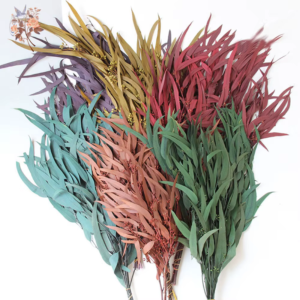 Bouquets de fleurs séchées d'eucalyptus