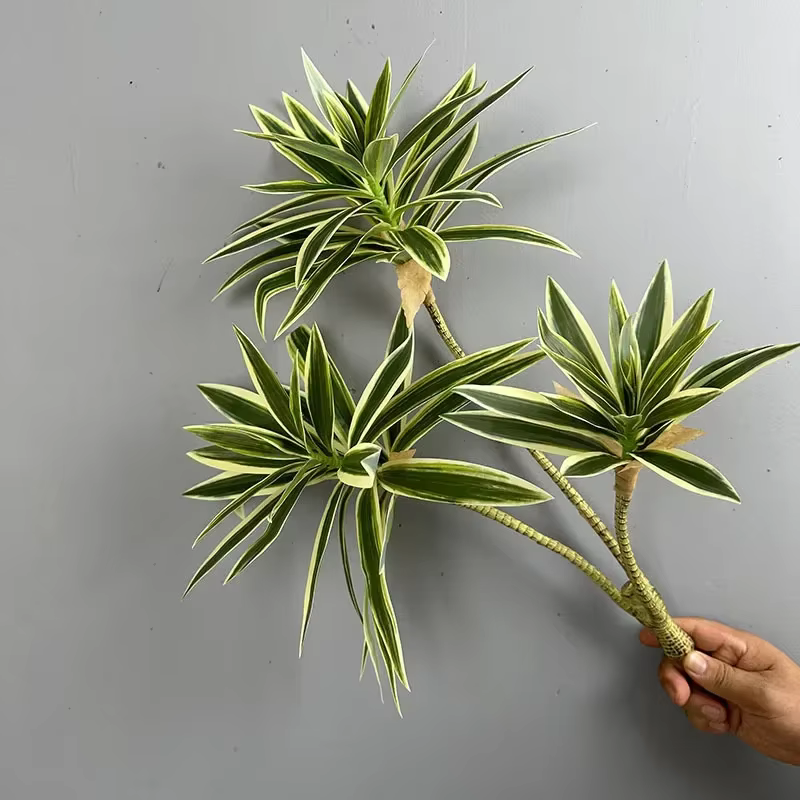 Plantes vertes artificielles