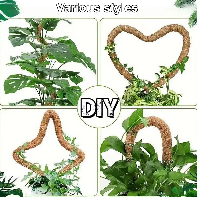 1 pièces poteaux de mousse pour plantes Monstera piquets