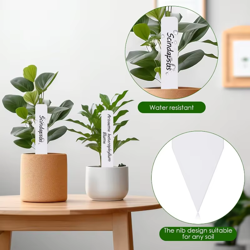 100 étiquettes de plantes de jardin pour l'extérieur