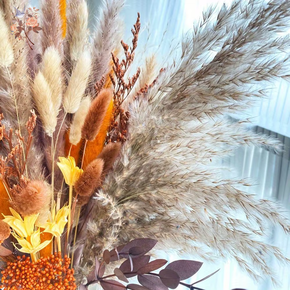 Nature Orange Reeds Pampas Herbe Automne Maison Fleurs Séchées Arrangements Décoration Réels Florals Pays Mariage Bouquets De Mariée