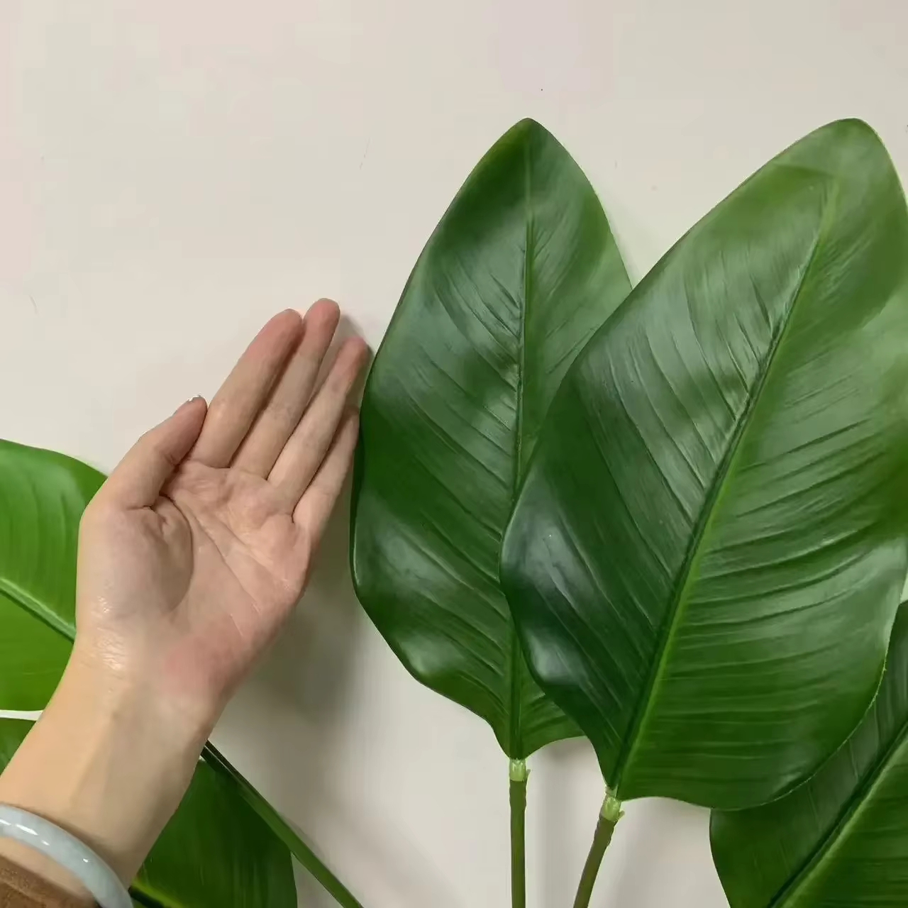 7 feuilles de plantein vert à main