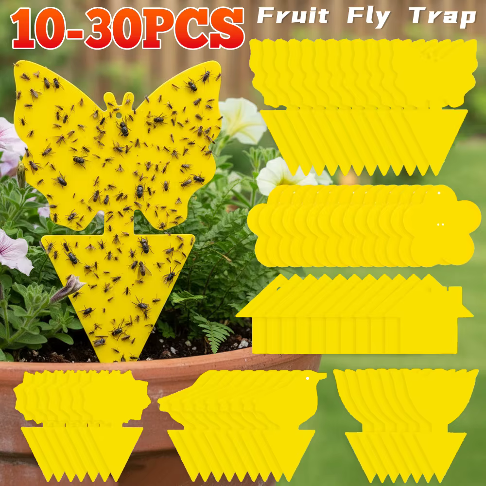 Pièges à insectes collants jaunes double face (10-30 pièces) pour plantes d'intérieur