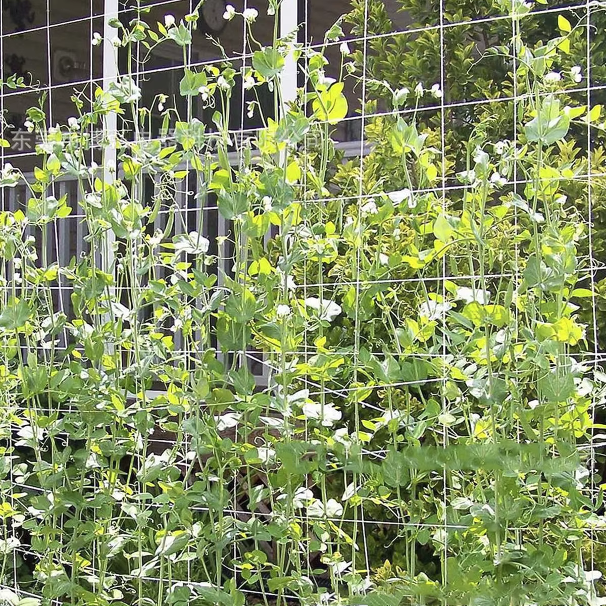 Filet d'escalade de jardin pour plantes