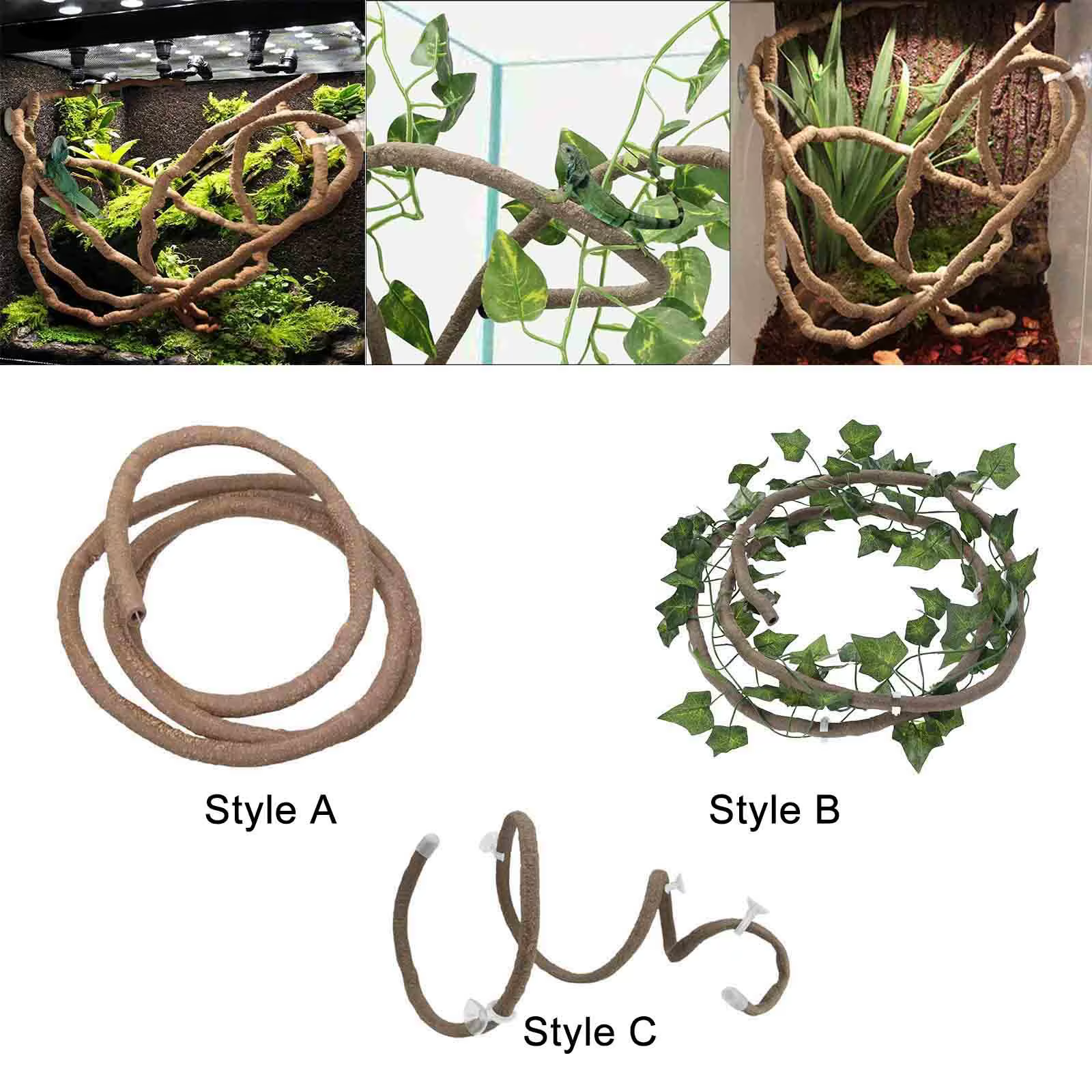 Terrarium Reptile vignes