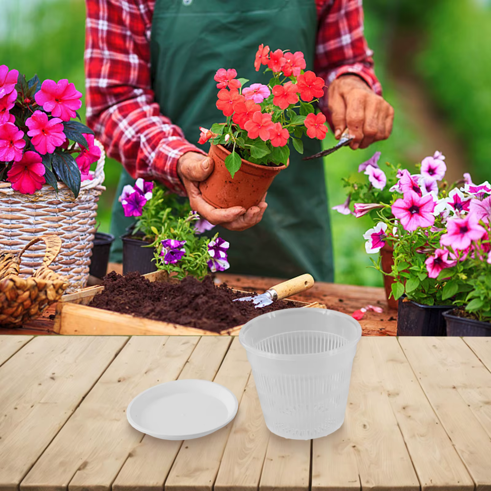Pot d'orchidée avec soucoupes