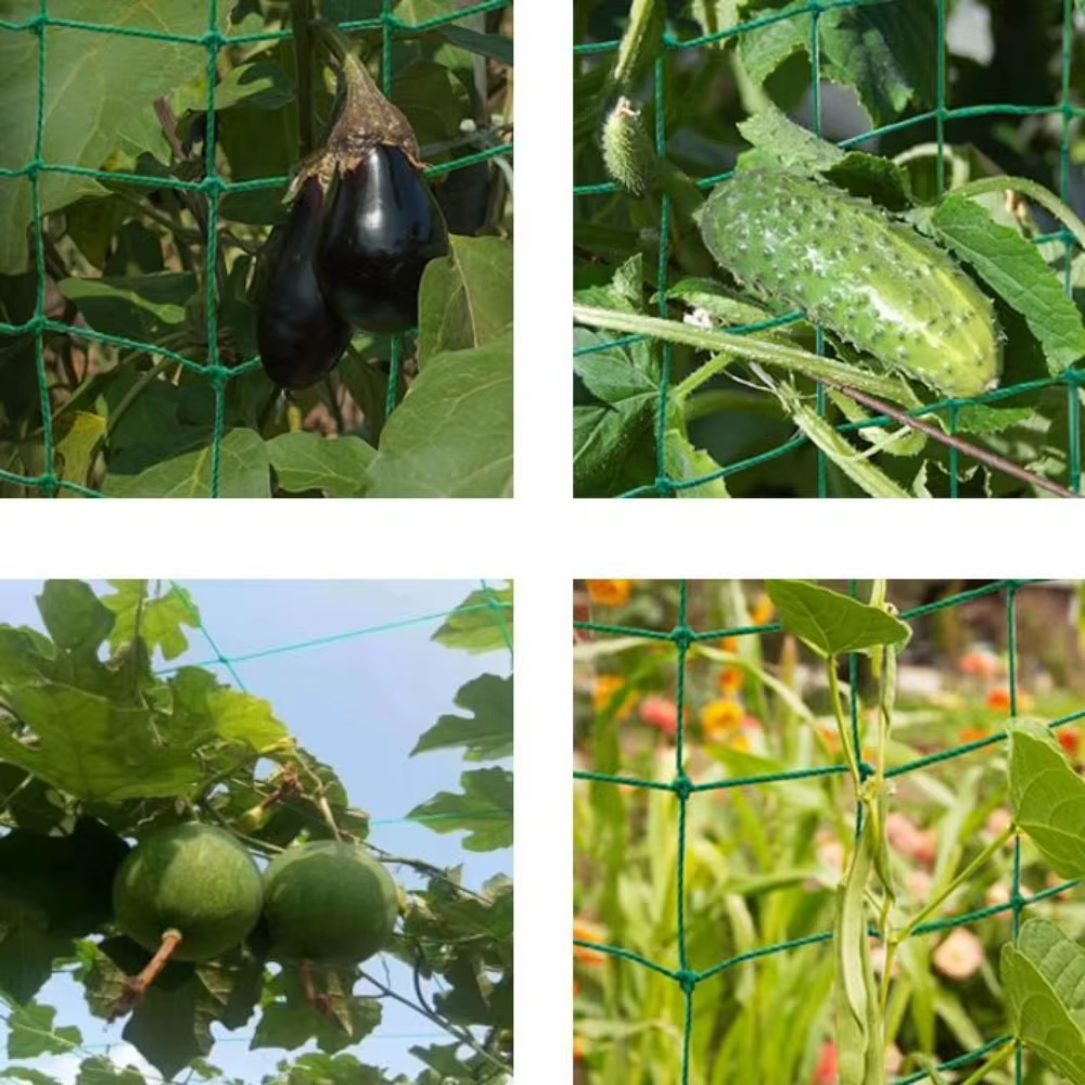 Pergola treillis robuste en polyester avec maille carrée pour plantes grimpantes et légumes