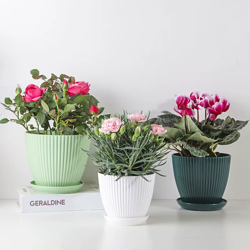 Pot de fleur rond jardinières succulentes Pot de plante avec plateau bureau balcon maison jardin décoration extérieur en Pot 5 tailles