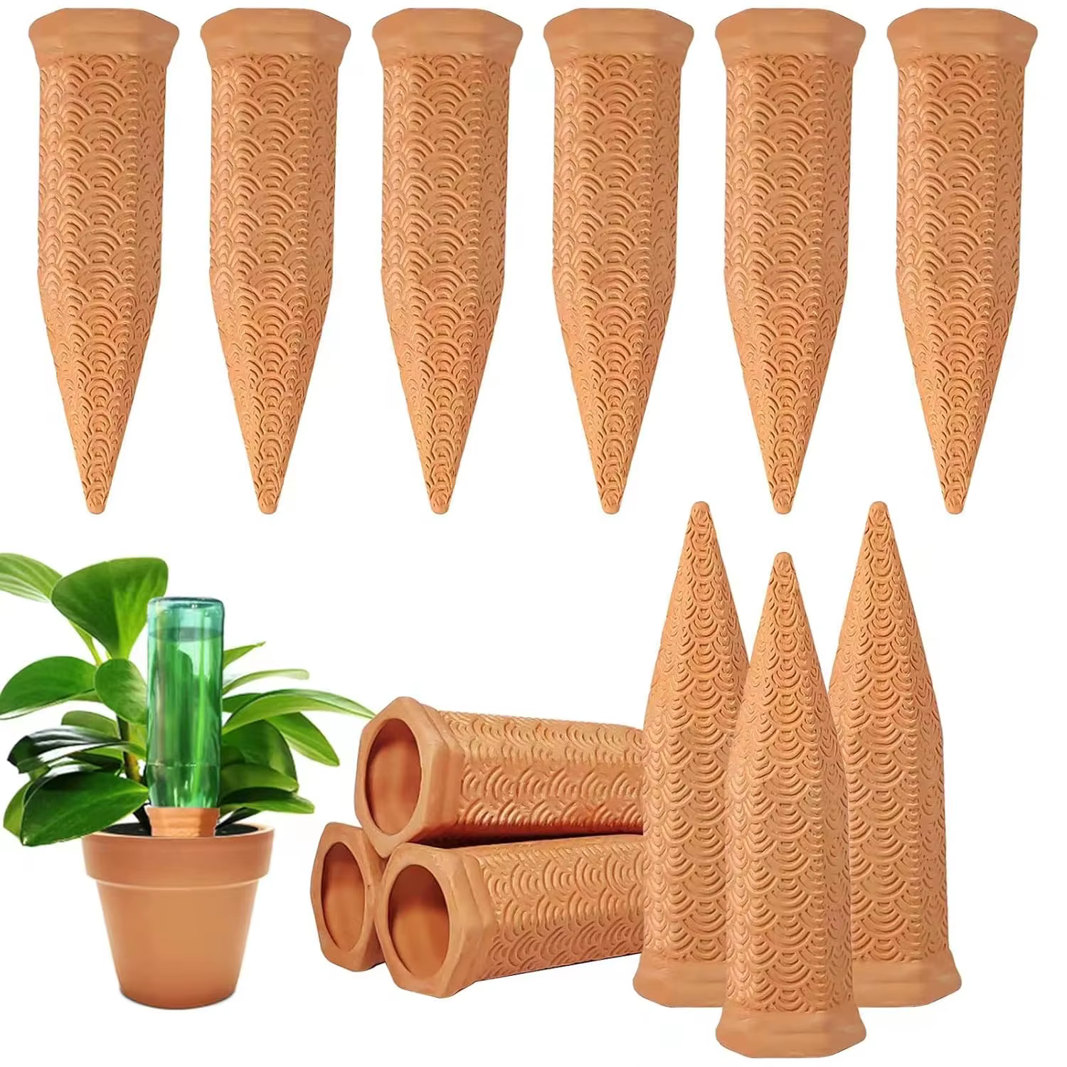 Piques d'arrosage pour plantes d'intérieur et d'extérieur