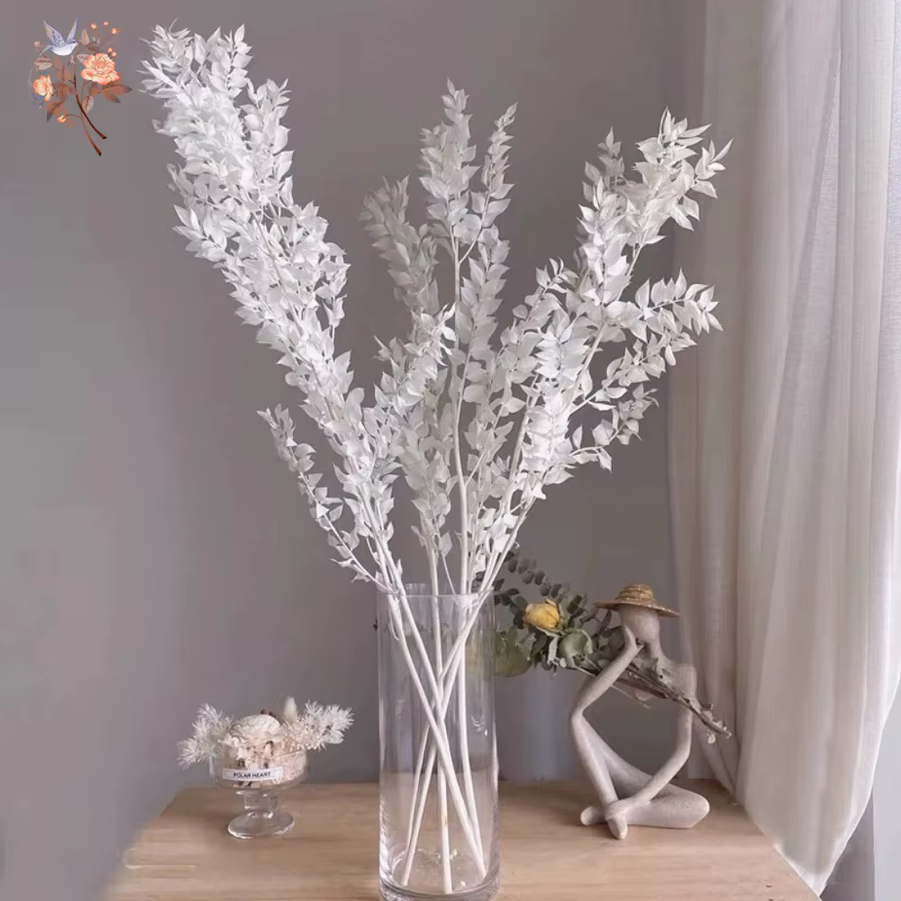 Bouquet de fleurs séchées de feuilles de Ruscus naturelles