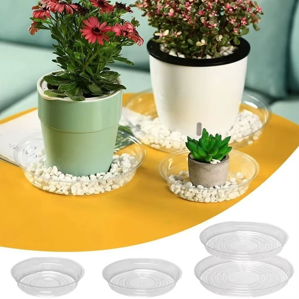 Plateaux en plastique pour plantes d'intérieur