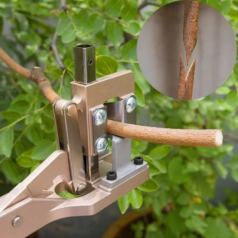 Sécateur professionnel pour arbres de jardin